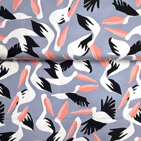 Canvas Cloud9  Collective – Pelicans BIO Canvas