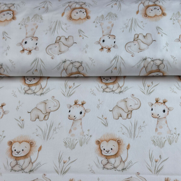 Jersey Hilco Trip to Africa