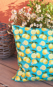 Canvas Matteo Zitrone