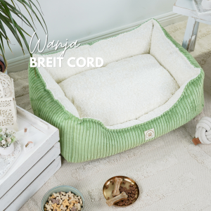 Cord Samt Rippe Wanja Limited Türkis 842
