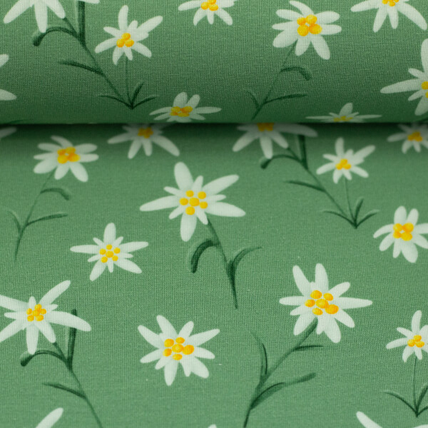 Jersey Alpenliebe Edelweiss